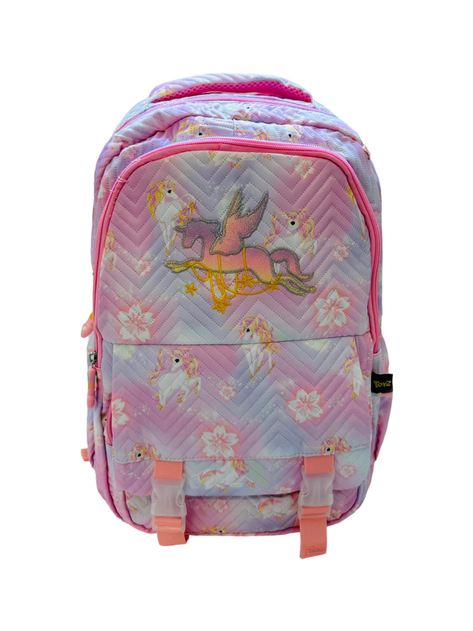 Mochila de espalda 17